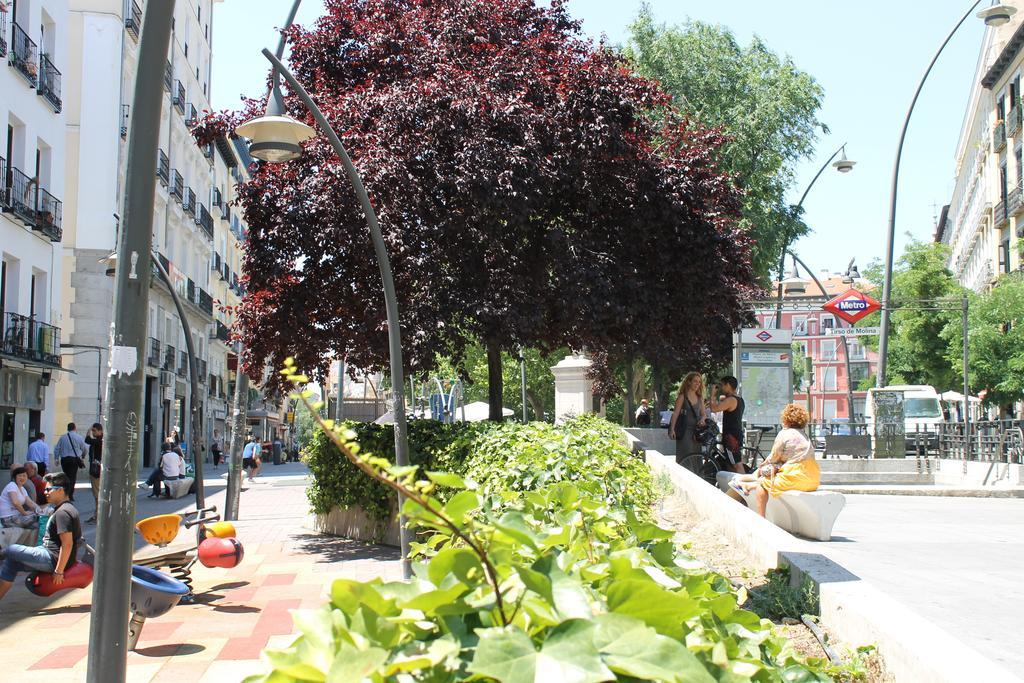 Hostal Graciela Madrid Exterior photo